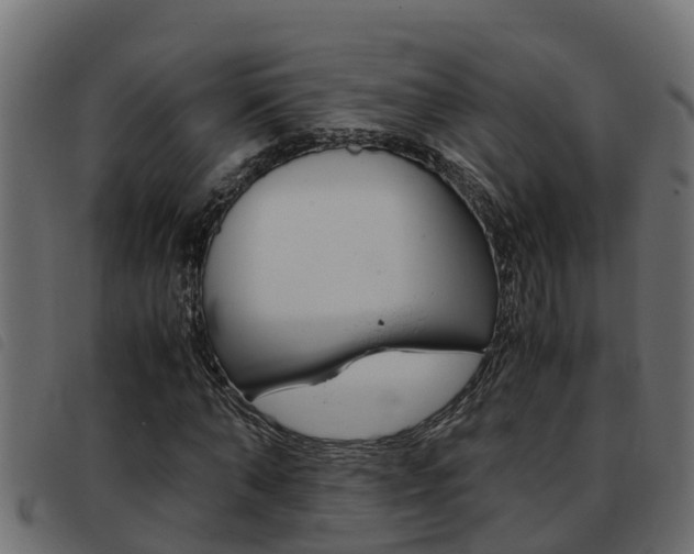 X0000093430870200710120915