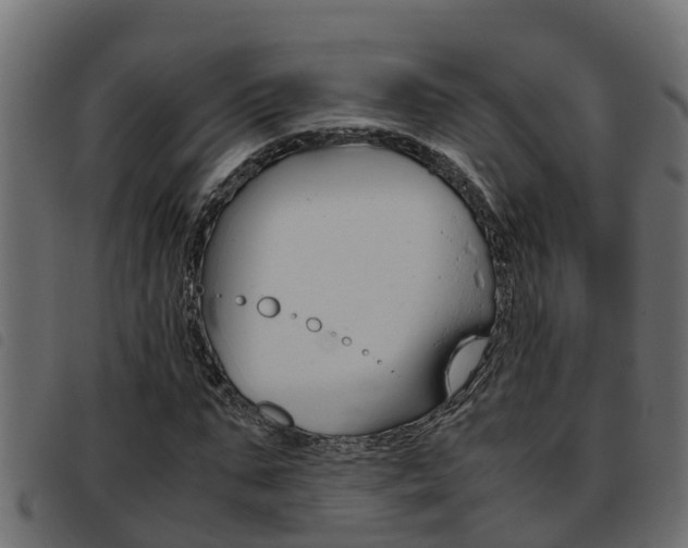 X0000093430871200710120915