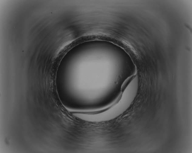 X0000093430872200710120915