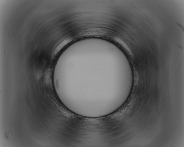 X0000093430874200710120915