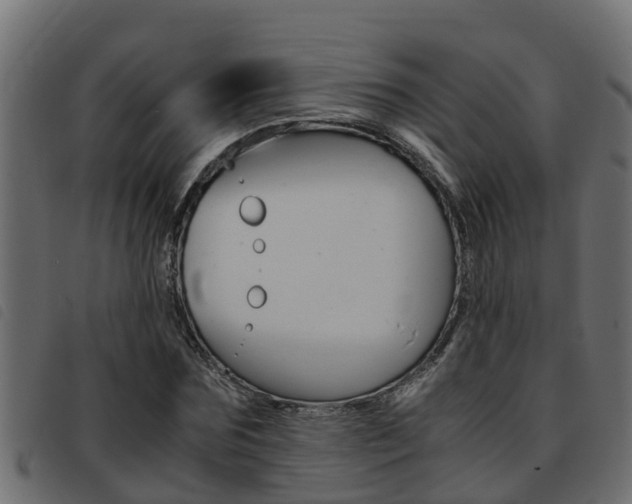 X0000093430875200710120915