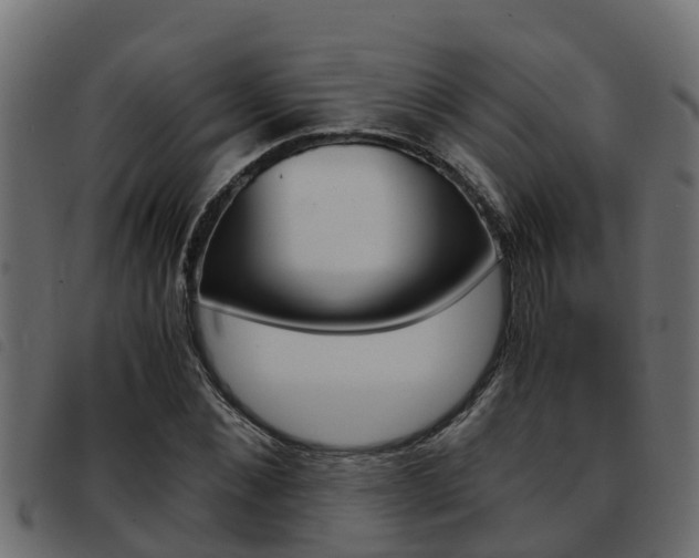 X0000093430876200710120915
