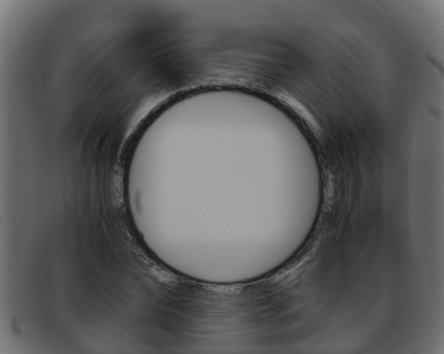 X0000093430878200710120915