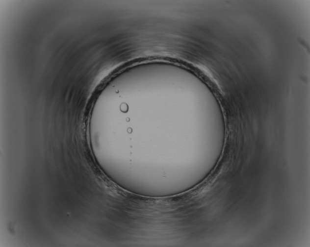 X0000093430879200710120915