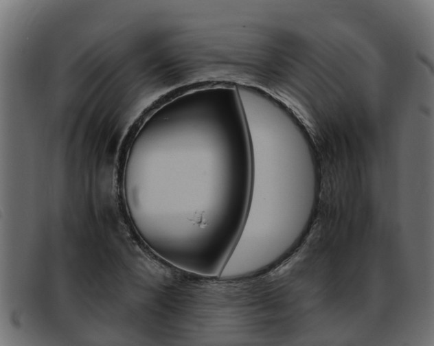 X0000093430880200710120915