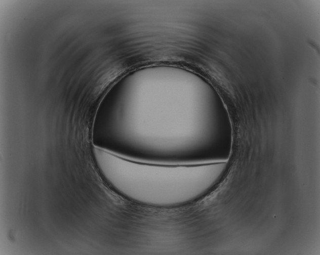 X0000093430881200710120915