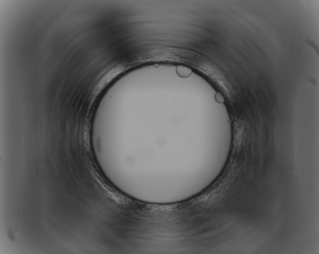 X0000093430882200710120915