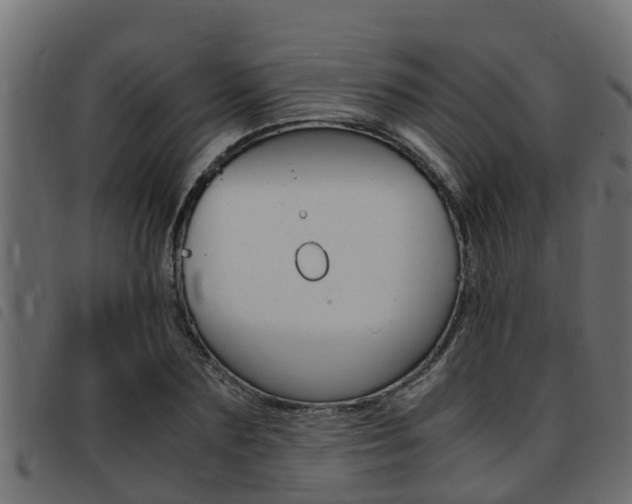 X0000093430883200710120915
