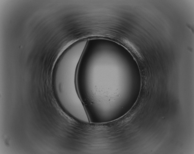 X0000093430884200710120915