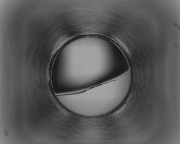 X0000093430885200710120915