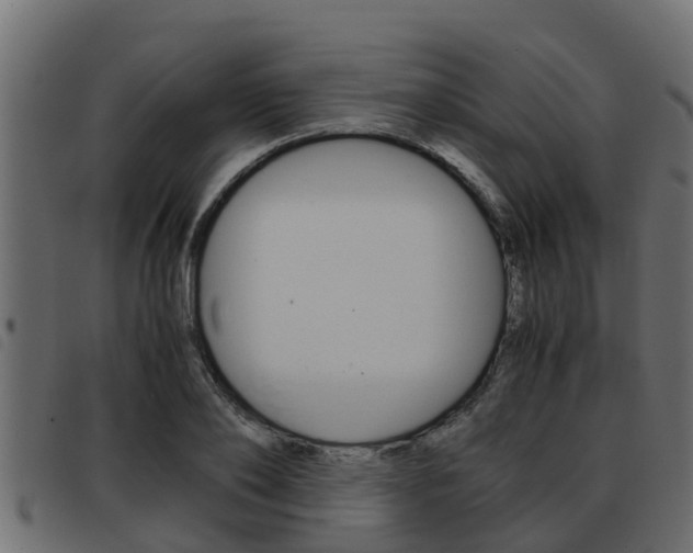 X0000093430886200710120915