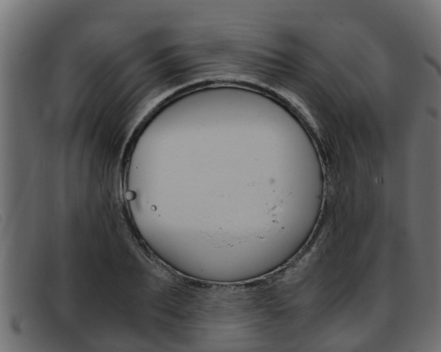X0000093430887200710120915