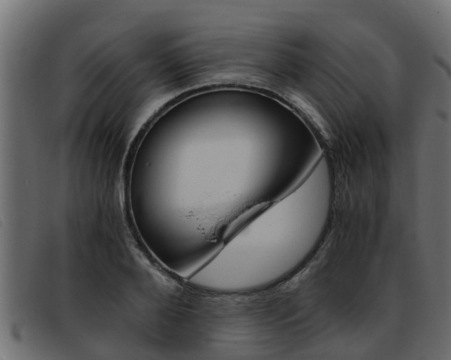 X0000093430888200710120915