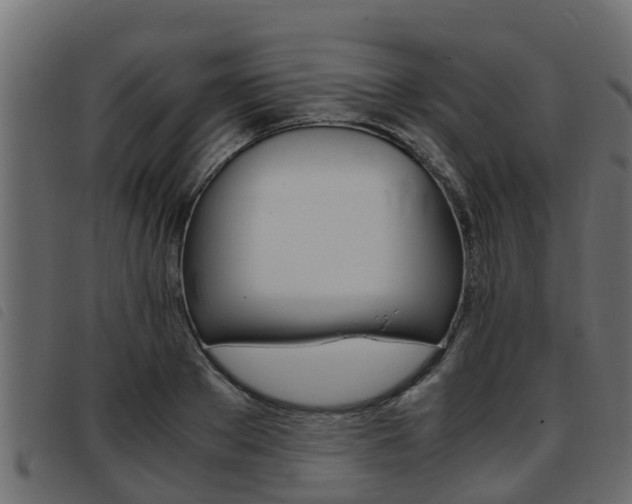 X0000093430889200710120915