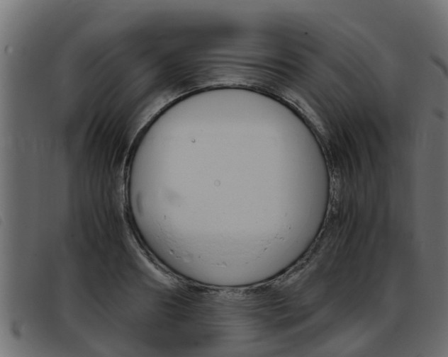 X0000093430890200710120915