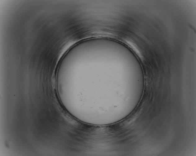 X0000093430891200710120915