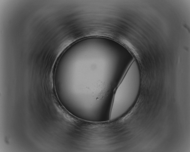 X0000093430892200710120915