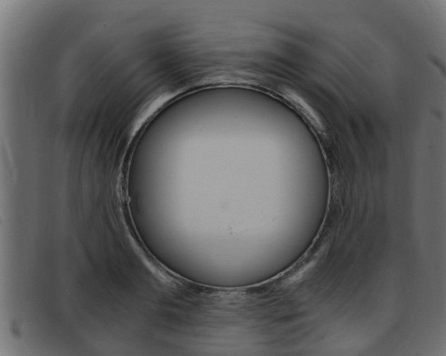 X0000093430893200710120915