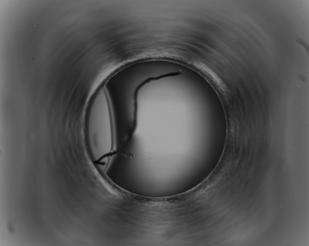 X0000093430894200710120915