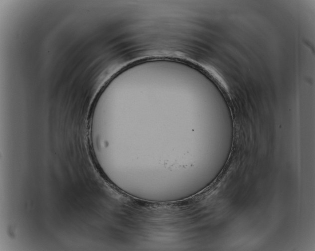 X0000093430895200710120915