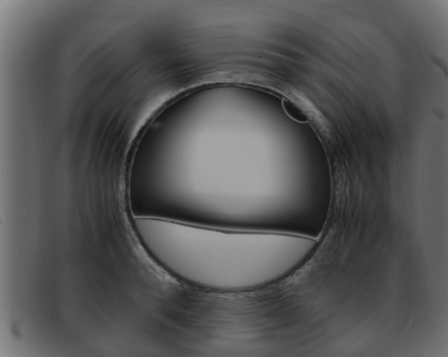 X0000093430896200710120915