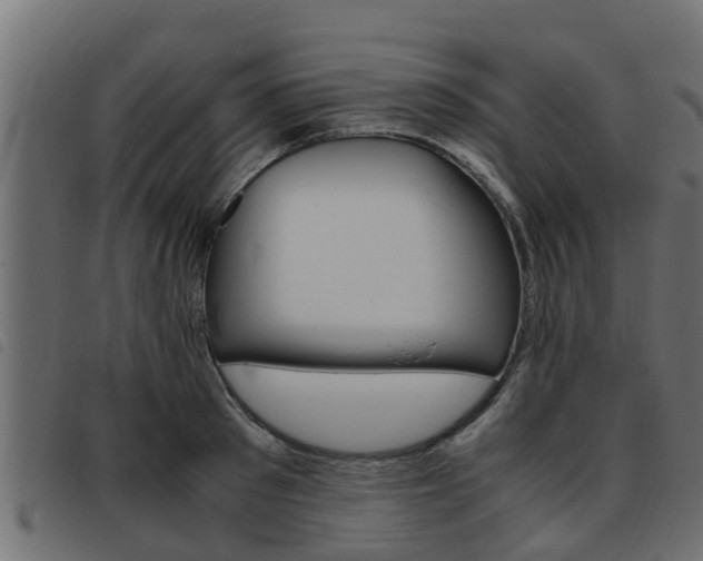 X0000093430897200710120915