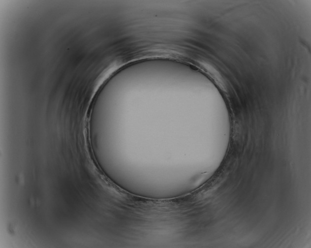X0000093430899200710120915