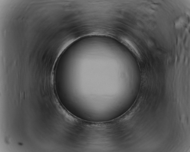 X0000093430900200710120915