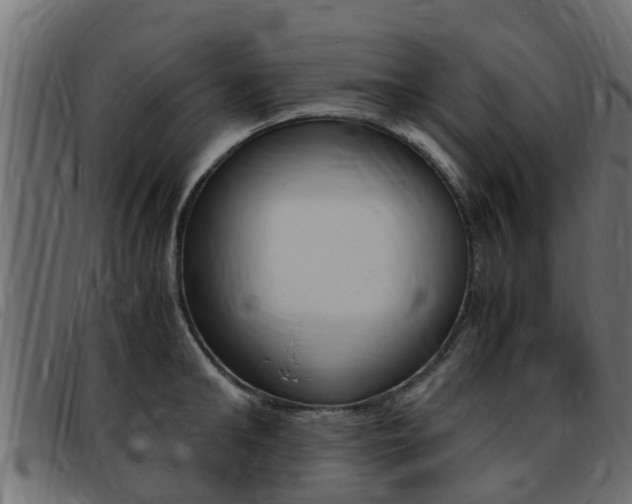 X0000093430902200710120915