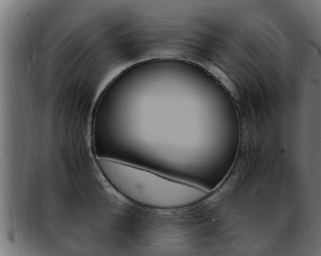 X0000093430904200710120915