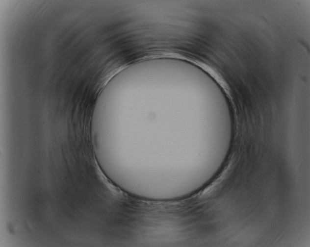 X0000093430905200710120915