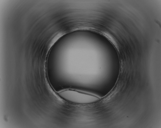 X0000093430906200710120915