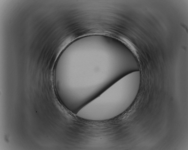X0000093430907200710120915
