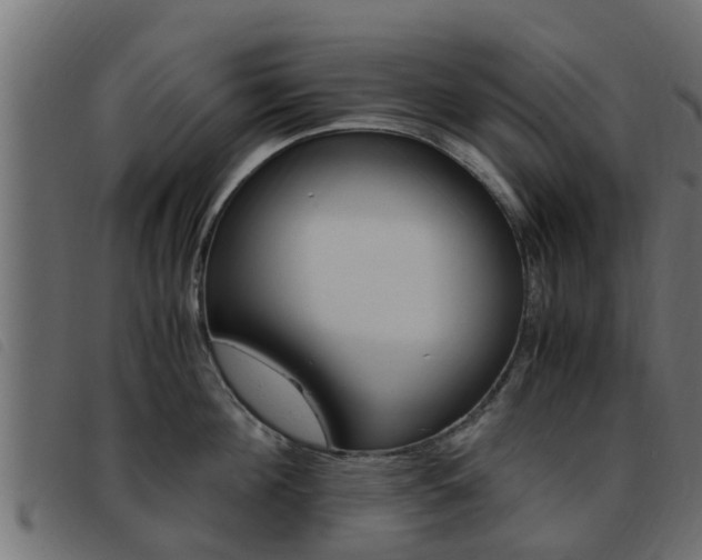 X0000093430908200710120915