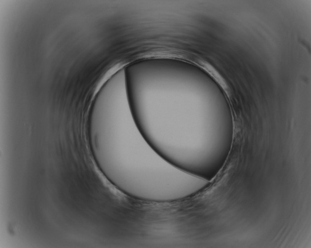 X0000093430909200710120915