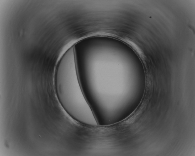 X0000093430910200710120915