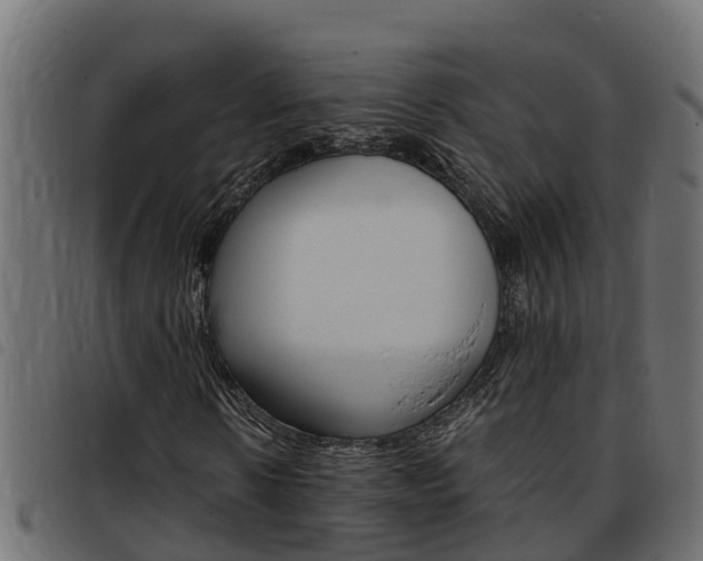 X0000093430914200710120914