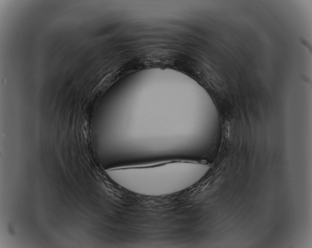X0000093430915200710120914