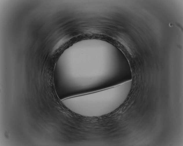 X0000093430919200710120914
