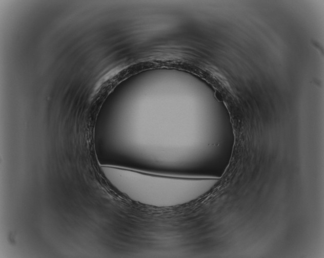 X0000093430920200710120914