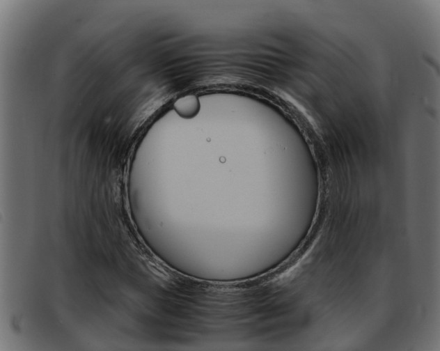 X0000093430921200710120914