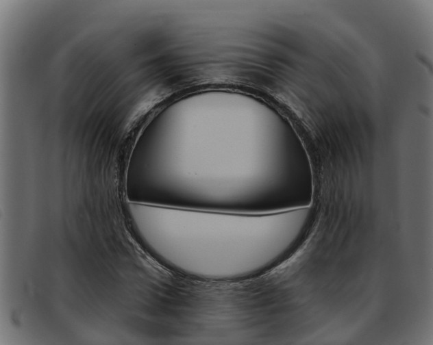 X0000093430922200710120914
