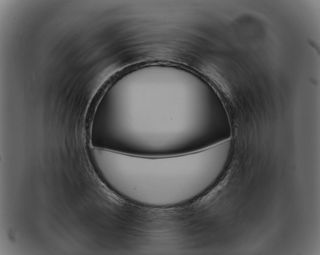 X0000093430924200710120914