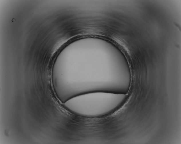X0000093430925200710120914
