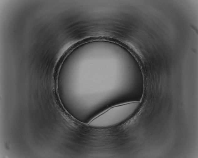 X0000093430927200710120914