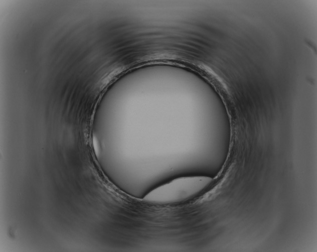 X0000093430929200710120914