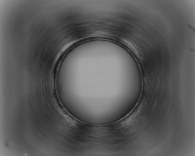 X0000093430931200710120914
