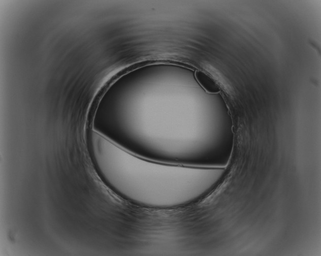 X0000093430932200710120914