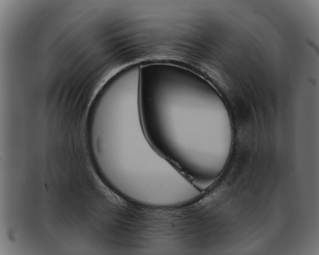 X0000093430934200710120914