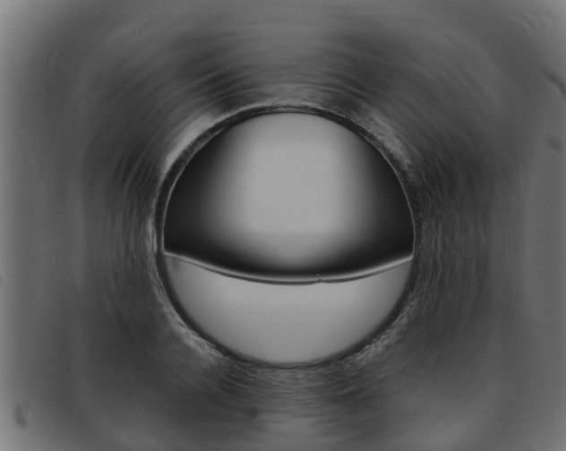 X0000093430936200710120914